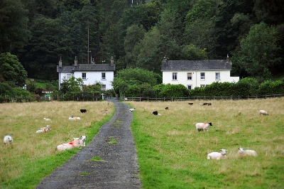 湖畔のＢ＆Ｂ