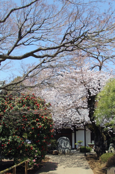 練馬春日町の愛染院