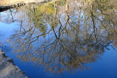 池の鏡