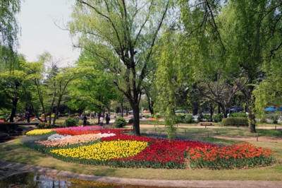 昭和記念公園