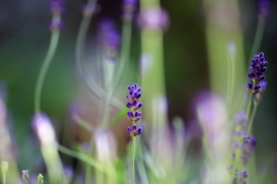 ５月２４日