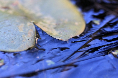 初氷